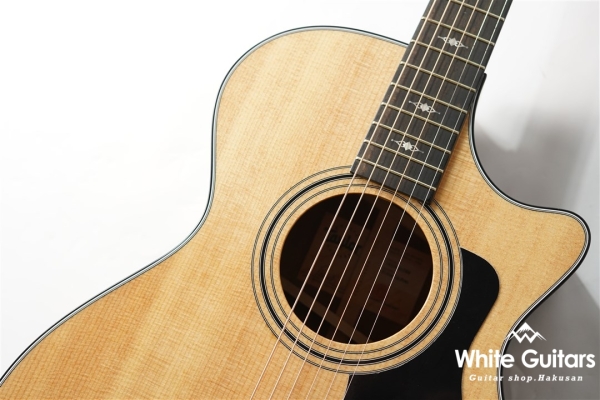 312ce 12Fret V-Class